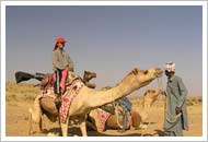 camel-tours