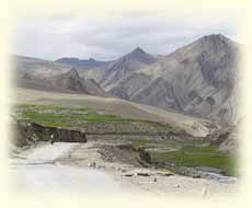 Rumtse Tsomoriri, Ladakh